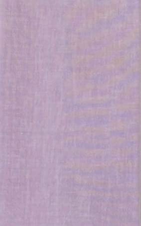 染の安坊 Anbo Tenugui Handtuch, einfarbig, 100 % Baumwolle, hergestellt in Japan, 35,1 x 100,1 cm, Pflaumenviolett von 染の安坊