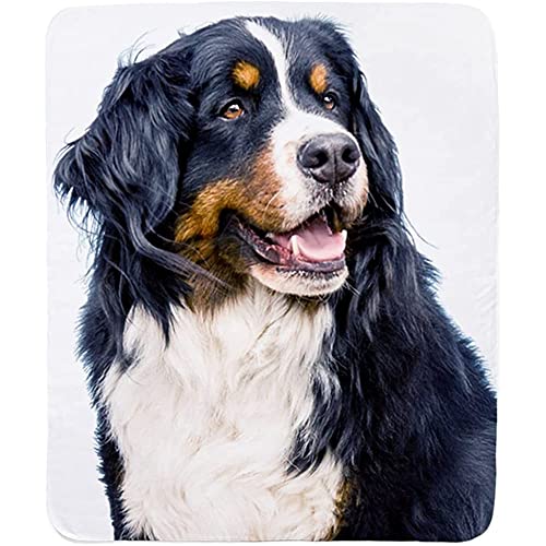 Decken Berner Sennenhund Flanell Decke Microfaser Decke Anti-Verfärben Couchdecke Für Couch Bett Weihnachten,80"x60" von Bedsure