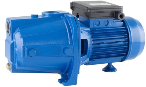 EBARA AGA Serie 0.75 M Elektropumpe einphasig selbstansaugend aus Gusseisen von 荏原