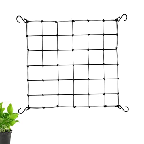 Garten Ranknetz Ranknetz Ranknetz für Rebe Rankgitter Netz Stabiles Netz Garten Starke Unterstützung Ranknetz Pflanzennetz Garten Rankgitter für Gurken, Tomaten, Obst und Gemüse Garten Ranknetz Ranknetz Ranknetz für Rebe Rankgitter Netz Stabiles Netz Garten Starke Unterstützung Ranknetz Pflanzennetz Garten Rankgitter für Gurken, Tomaten, Obst und Gemüse von ノーブランド品