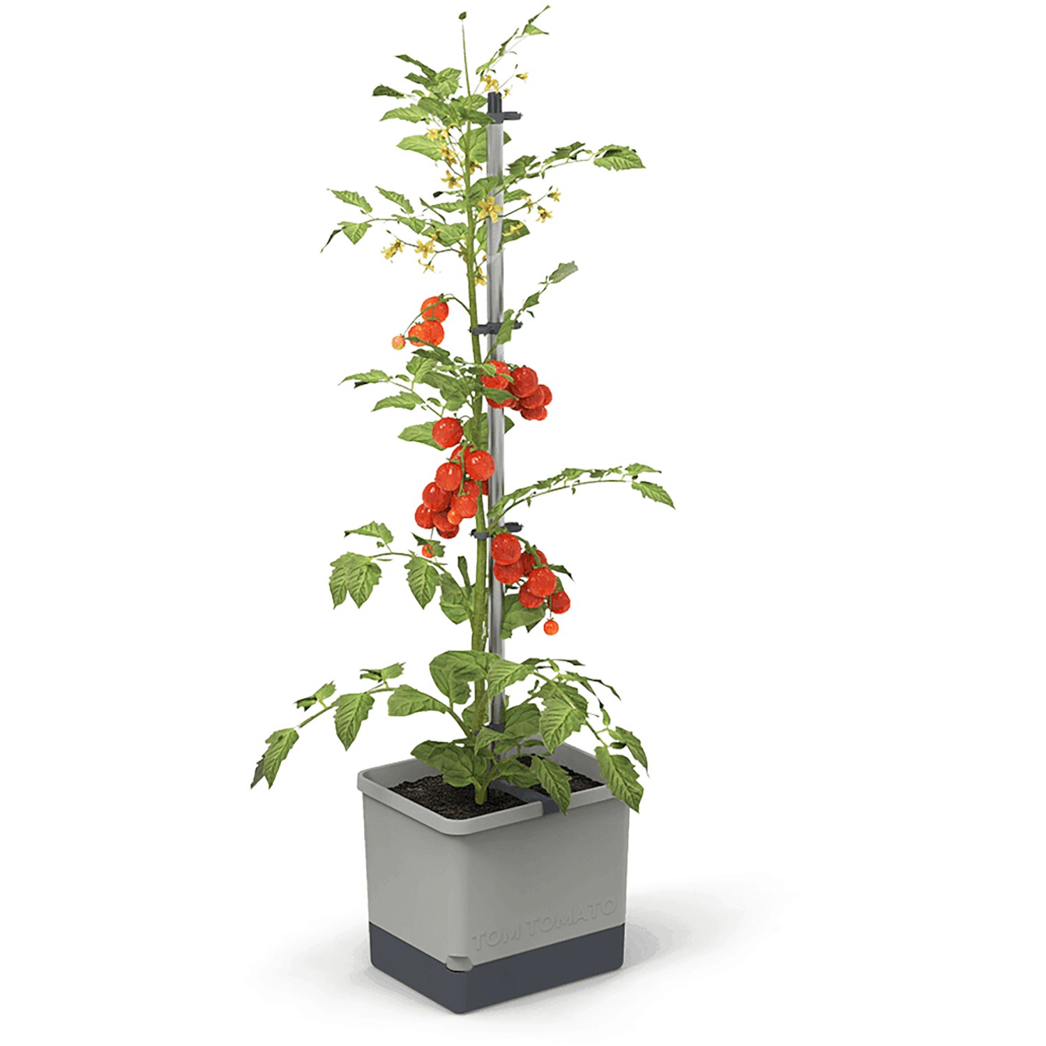 Gusta Garden Anzuchtsgefäß Tom Tomato 20 L hellgrau von -