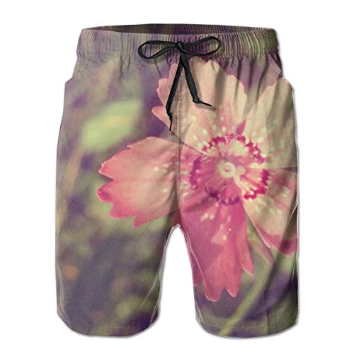 0 Nano Hone Nano Strop 25 Micron von 0