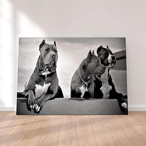 XXL Bilder auf Leinwand Pitbulls Leinwandbild 1 Wandbild Kunstdruck Bild Wandbilder Wohnzimmer 1 Teilig Wanddeko （Rahmenlos 120x80cm） von 104Tdfc