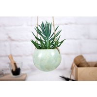 Mini Keramik Pflanzer Innen | Wandpflanzgefäß Moderner Sukkulenten Kaktus Blumentopf Wohnkultur Geschenk Mini Keramik Pflanzer Innen | Wandpflanzgefäß Moderner Sukkulenten Kaktus Blumentopf Wohnkultur Geschenk von 10FingersArt