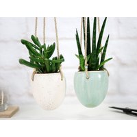 Mini Sukkulenten Blumenampel | Mattes Weißes Oder Mintfarbenes Modernes Pflanzgefäß Keramik Pflanzenaufhänger Für Sukkulenten, Luftpflanzen von 10FingersArt