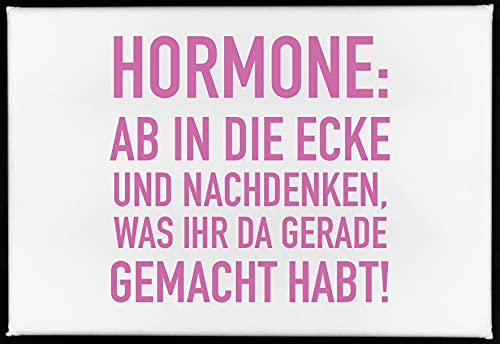 Magnet, 79 x 53mm, HORMONE: AB IN DIE ECKE UND NACHDENKEN, WAS IHR DA GERADE GEMACHT HABT! Magnet, 79 x 53mm, HORMONE: AB IN DIE ECKE UND NACHDENKEN, WAS IHR DA GERADE GEMACHT HABT! von 17;30 HOME