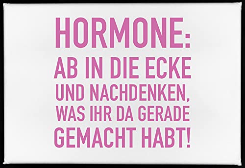 Magnet, 79 x 53mm, HORMONE: AB IN DIE ECKE UND NACHDENKEN, WAS IHR DA GERADE GEMACHT HABT! von 17;30 HOME