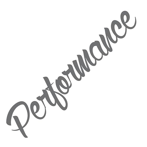 Performance Sticker Autoaufkleber Heckscheibenaufkleber Tuningsticker Seiteaufkleber Autodekor Auo Tuning Frontscheiben (Glanz Grau) von 1A Style Sticker