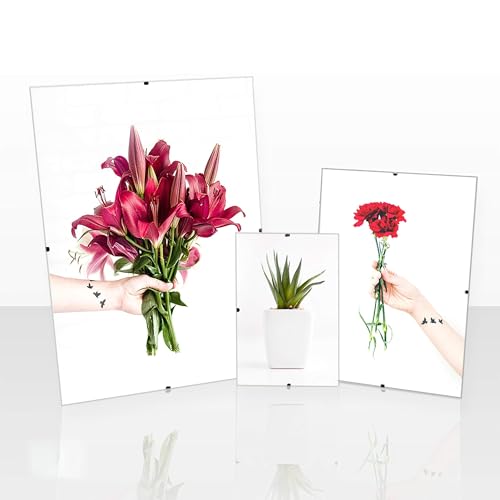 Clippo Rahmenloser Bilderrahmen Posterrahmen 33x98 cm Cliprahmen Bildhalter 98x33 cm Puzzlegröße mit Rückwand und klarem Kunstglas 1 mm von 1a Bilderrahmen