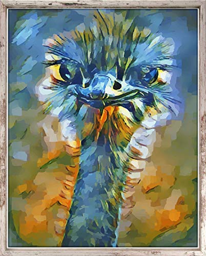 Leon Schattenfugenrahmen für Leinwandbild Rahmen für Canvasbild 45x55 cm Farbwahl Hier Weiss Vintage Shabby Chic ohne Glas von 1a Bilderrahmen