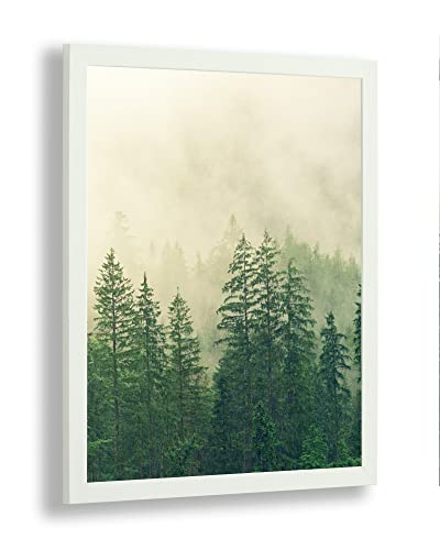 Monaldo Deluxe Bilderrahmen Posterrahmen 35,5 x 28 cm Weiß Gemasert Wechselrahmen weisser Hintergrund klares Kunstglas von 1a Bilderrahmen
