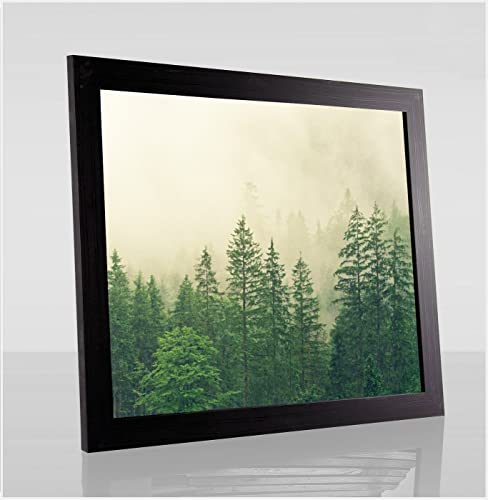 Monaldo Deluxe Bilderrahmen Posterrahmen 45 x 30 cm Schwarz Gemasert Wechselrahmen weisser Hintergrund klares Kunstglas von 1a Bilderrahmen