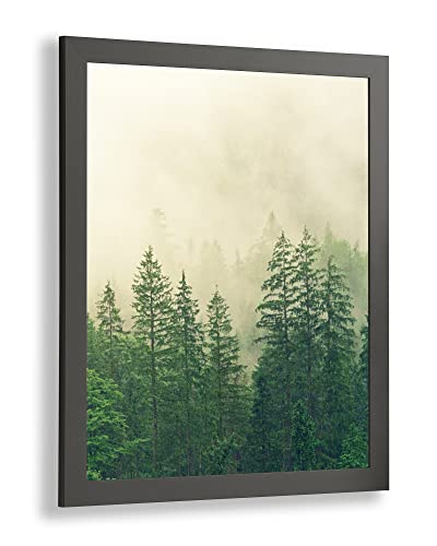 Monaldo Deluxe Bilderrahmen Posterrahmen 60 x 46 cm Farbe Graphit Wechselrahmen weisser Hintergrund klares Kunstglas von 1a Bilderrahmen