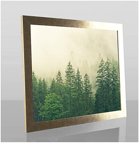 Monaldo Deluxe Bilderrahmen Posterrahmen 60 x 60 cm Farbe Gold Antik Wechselrahmen weisser Hintergrund Antireflex Kunstglas von 1a Bilderrahmen