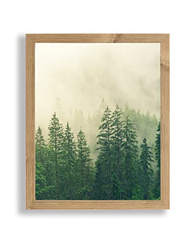 Monzetta Deluxe Bilderrahmen Posterrahmen 38x54 cm Fichte Antik Dekor cm Schritt Formatwahl 54x38 cm RW weiß Front Antireflex Monzetta Deluxe Bilderrahmen Posterrahmen 38x54 cm Fichte Antik Dekor cm Schritt Formatwahl 54x38 cm RW weiß Front Antireflex von 1a Bilderrahmen