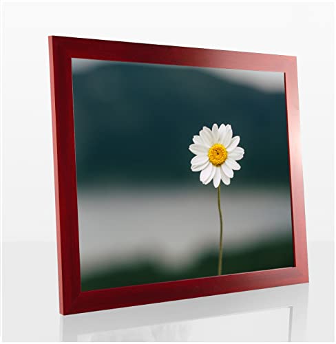 Paola Deluxe Bilderrahmen Posterrahmen 20x20 cm Weinrot Dunkelrot gewischt mit weißem Hintergrund und Antireflex Kunstglas von 1a Bilderrahmen