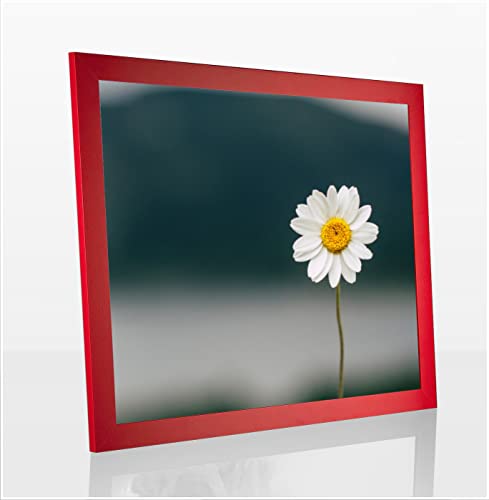 Paola Deluxe Bilderrahmen Posterrahmen 20x26 cm Rot Knallrot mit weißem Hintergrund und Antireflex Kunstglas von 1a Bilderrahmen