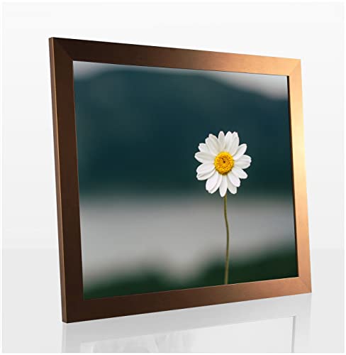 Paola Deluxe Bilderrahmen Posterrahmen 23x29 cm Kupfer Dekor mit weißem Hintergrund und Kunstglas klar von 1a Bilderrahmen