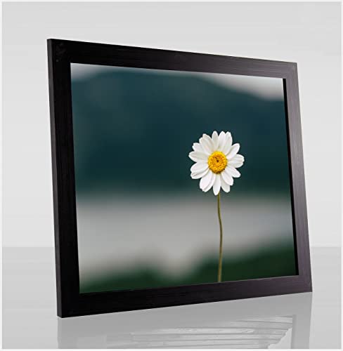 Paola Deluxe Bilderrahmen Posterrahmen 28x35,5 cm Schwarz Gemasert mit weißem Hintergrund und Kunstglas klar von 1a Bilderrahmen