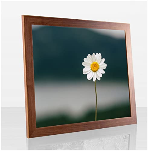 Paola Deluxe Bilderrahmen Posterrahmen 30x45 cm Nussbaum Dunkel Dekor mit weißem Hintergrund und Antireflex Kunstglas von 1a Bilderrahmen