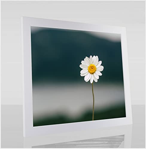 Paola Deluxe Bilderrahmen Posterrahmen 45,7x61 cm Weiß Matt mit weißem Hintergrund und Kunstglas klar von 1a Bilderrahmen