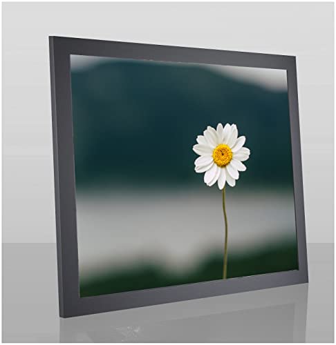 Paola Deluxe Bilderrahmen Posterrahmen 50x60 cm Grau Schlicht mit weißem Hintergrund und Kunstglas klar von 1a Bilderrahmen