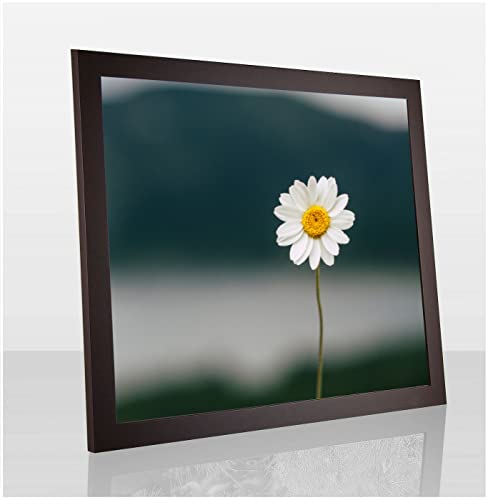 Paola Deluxe Bilderrahmen Posterrahmen 51x77 cm Braun schlicht Dunkelbraun mit weißem Hintergrund und Antireflex Kunstglas von 1a Bilderrahmen