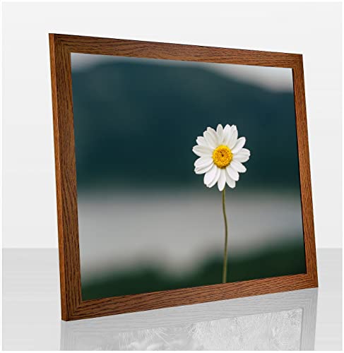 Paola Deluxe Bilderrahmen Posterrahmen 56,2x56,2 cm Eiche Rustikal Dekor mit weißem Hintergrund und Kunstglas klar von 1a Bilderrahmen