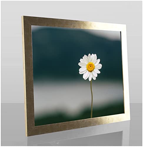 Paola Deluxe Bilderrahmen Posterrahmen 61x91,4 cm Farbe Gold Antik mit weißem Hintergrund und Kunstglas klar von 1a Bilderrahmen