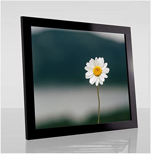 Paola Deluxe Bilderrahmen Posterrahmen 68x101 cm Schwarz Hochglanz mit weißem Hintergrund und Kunstglas klar von 1a Bilderrahmen