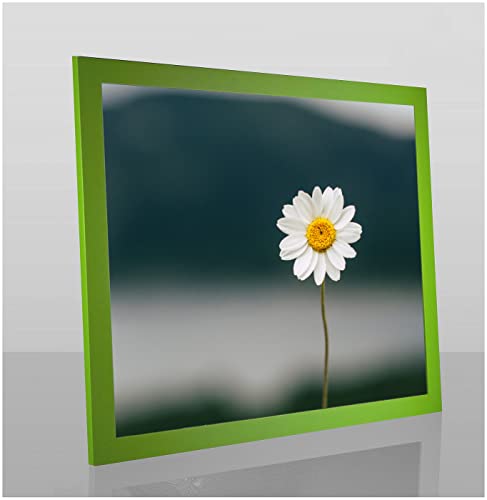 Paolo Passgenauer Bilderrahmen PuzzleRahmen 48,5 x 68 cm Grün Hellgrün Speziell für Puzzle mit Antireflex Kunstglas von 1a Bilderrahmen