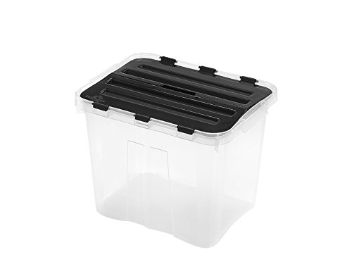 1a-Handelsagentur Dragon Box mit Deckel Geteilt von Heidrun
