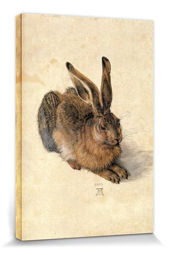 1art1 Albrecht Dürer Poster Junger Feldhase, 1502 Bilder Leinwand-Bild Auf Keilrahmen | XXL-Wandbild Poster Kunstdruck Als Leinwandbild 30x20 cm von 1art1