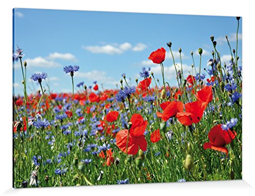 1art1 Blumen Poster Wildblumen-Wiese Mit Mohn- Und Kornblumen Bilder Leinwand-Bild Auf Keilrahmen | XXL-Wandbild Poster Kunstdruck Als Leinwandbild 180x120 cm von 1art1