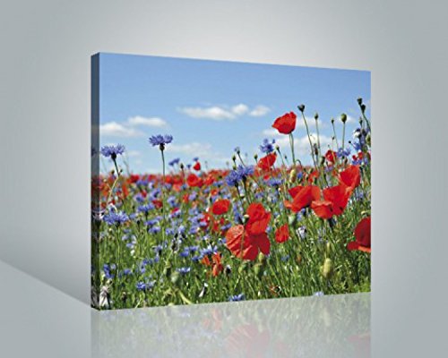 1art1 Blumen Poster Wildblumen-Wiese Mit Mohn- Und Kornblumen Bilder Leinwand-Bild Auf Keilrahmen | XXL-Wandbild Poster Kunstdruck Als Leinwandbild 50x40 cm von 1art1