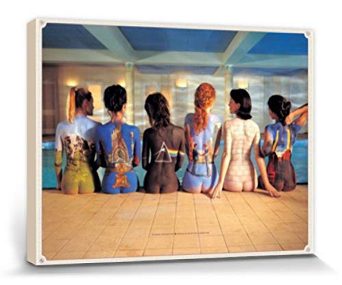 1art1 Pink Floyd Poster Back Catalogue Bilder Leinwand-Bild Auf Keilrahmen | XXL-Wandbild Poster Kunstdruck Als Leinwandbild 80x60 cm von 1art1