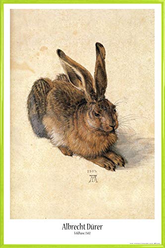 1art1 Albrecht Dürer Poster Plakat | Bild und Kunststoff-Rahmen - Junger Feldhase, 1502 (91 x 61cm) von 1art1
