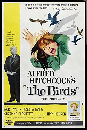 1art1 Alfred Hitchcock Poster Plakat | Bild und Kunststoff-Rahmen - Die Vögel (91 x 61cm) von 1art1