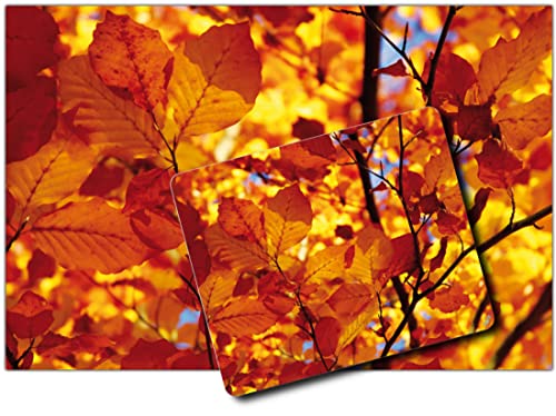 1art1 Bäume, Goldenes Herbstlaub 1 Kunstdruck Bild (120x80 cm) + 1 Mauspad (23x19 cm) Geschenkset von 1art1