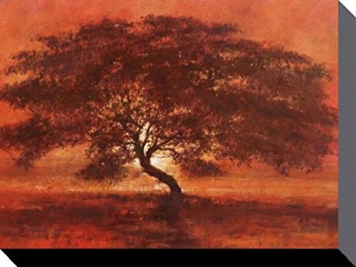 1art1 Bäume Poster Baum In Der Wüste, Jonathan Sanders Bilder Leinwand-Bild Auf Keilrahmen | XXL-Wandbild Poster Kunstdruck Als Leinwandbild 80x60 cm von 1art1