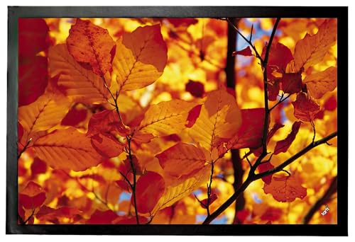 1art1 Bäume Goldenes Herbstlaub Fußmatte Dekomatte Innenbereich | Design Türmatte 60x40 cm von 1art1