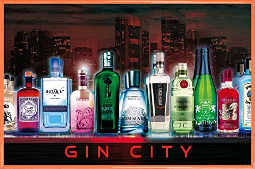 1art1 Bars Poster Plakat | Bild und Kunststoff-Rahmen - Gin City (91 x 61cm) von 1art1
