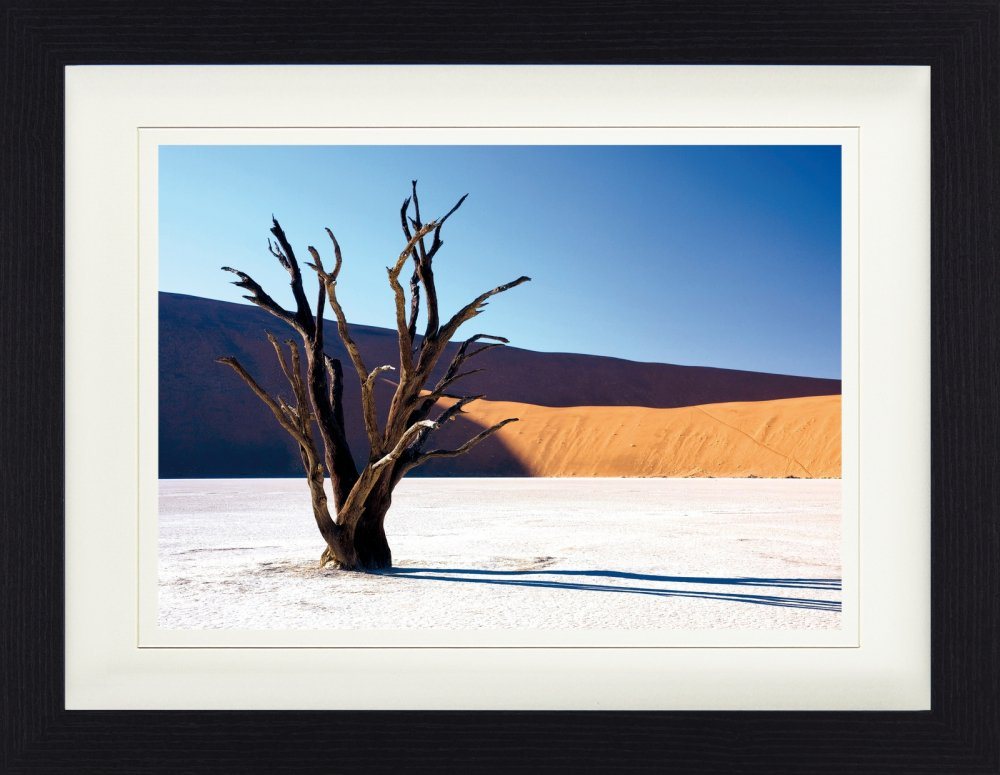1art1 Bild mit Rahmen Wüsten - Verdorrter Baum In Der Wüste von 1art1