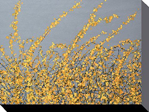 1art1 Blüten Poster Yellow Blossom, Simon Fairless Bilder Leinwand-Bild Auf Keilrahmen | XXL-Wandbild Poster Kunstdruck Als Leinwandbild 80x60 cm von 1art1