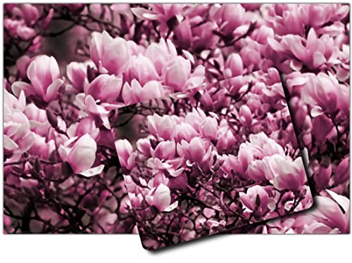1art1 Blumen, Blühende Magnolien 1 Kunstdruck Bild (120x80 cm) + 1 Mauspad (23x19 cm) Geschenkset von 1art1