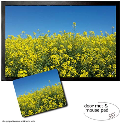 1art1 Blumen, Goldenes Rapsfeld Vor Tiefblauem Himmel Fußmatte Dekomatte Innenbereich | Design Türmatte (60x40 cm) + Mauspad (23x19 cm) Geschenkset von 1art1