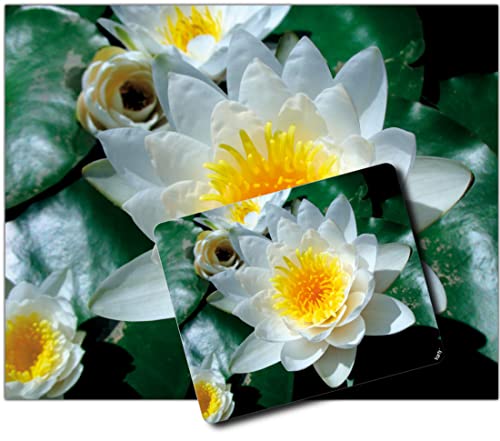 1art1 Blumen, Weiße Seerose Blüte 1 Kunstdruck Bild (50x40 cm) + 1 Mauspad (23x19 cm) Geschenkset von 1art1