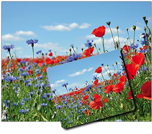 1art1 Blumen, Wildblumen-Wiese Mit Mohn- Und Kornblumen 1 Kunstdruck Bild (50x40 cm) + 1 Mauspad (23x19 cm) Geschenkset von 1art1