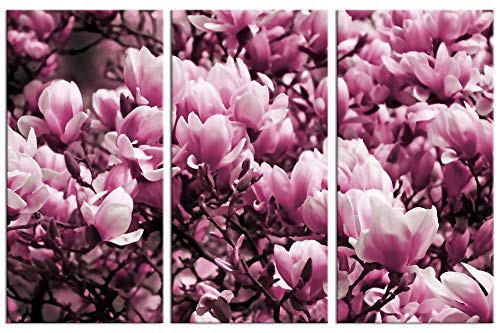 1art1 Blumen Poster Blühende Magnolien, 3-Teilig Bilder Leinwand-Bild Auf Keilrahmen | XXL-Wandbild Poster Kunstdruck Als Leinwandbild 180x120 cm von 1art1