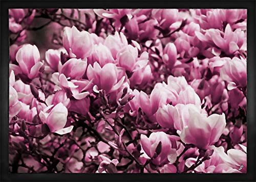 1art1 Blumen Blühende Magnolien Fußmatte Dekomatte Innenbereich | Design Türmatte 70x50 cm 1art1 Blumen Blühende Magnolien Fußmatte Dekomatte Innenbereich | Design Türmatte 70x50 cm von 1art1